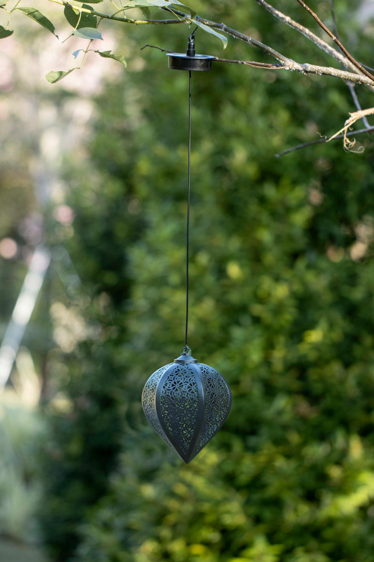 LED-SOLAR-HÄNGELEUCHTE - wetterfest mit Dämmerungssensor und Schattenspiel für Garten und Terrasse, Schwarz, 1er-Set - Schwarz, Metall (15.5/15.5/76cm) - Northpoint