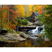 FOTOTAPETE bewaldete Landschaft 375 x 270 cm - Multicolor, Papier (375/270cm) - Sanders & Sanders