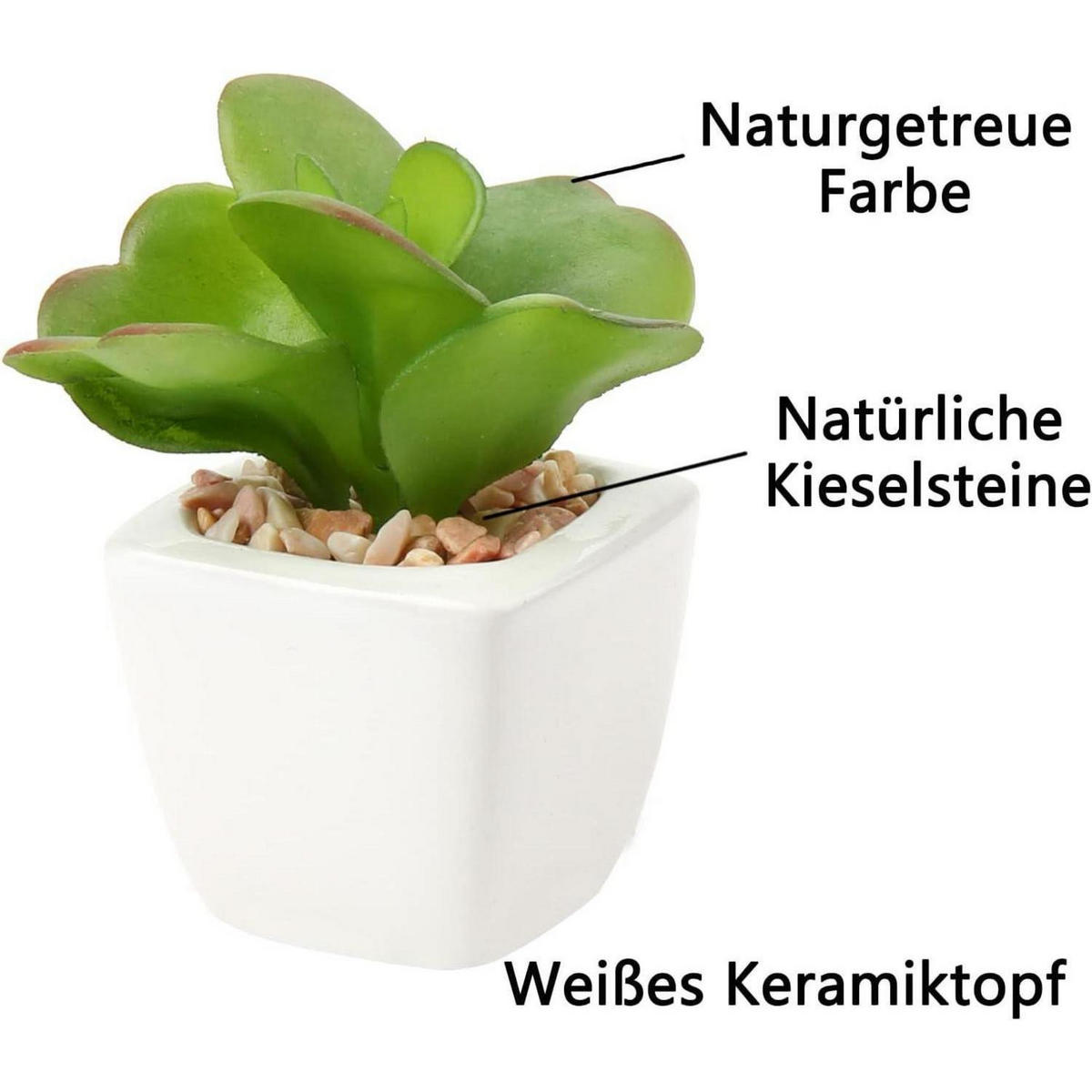 KUNSTPFLANZEN-SET Mini Sukkulenten im Keramiktopf 4-teilig - Multicolor, Keramik (4cm)