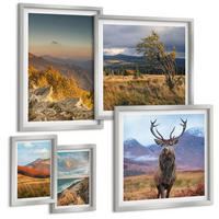 BILDER SET 5er Set - 50x50 cm & 20x30 cm & 40x60 cm Silberner Rahmen - Berglandschaften, Hirschgras - Silberfarben, Kunststoff (40/60cm) - TULUP