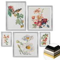 WANDBILDER 5er Set - 50x50 cm & 20x30 cm & 40x60 cm Silberner Rahmen - Gemalte Blumen, Retro-Vogel - Silberfarben, Kunststoff (40/60cm) - ArtPrintCave