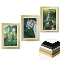 WANDBILDER 3er Set - 20x30 cm Goldrahmen - Dschungeltigerwasserfall - Goldfarben, Kunststoff (20/30cm) - ArtPrintCave