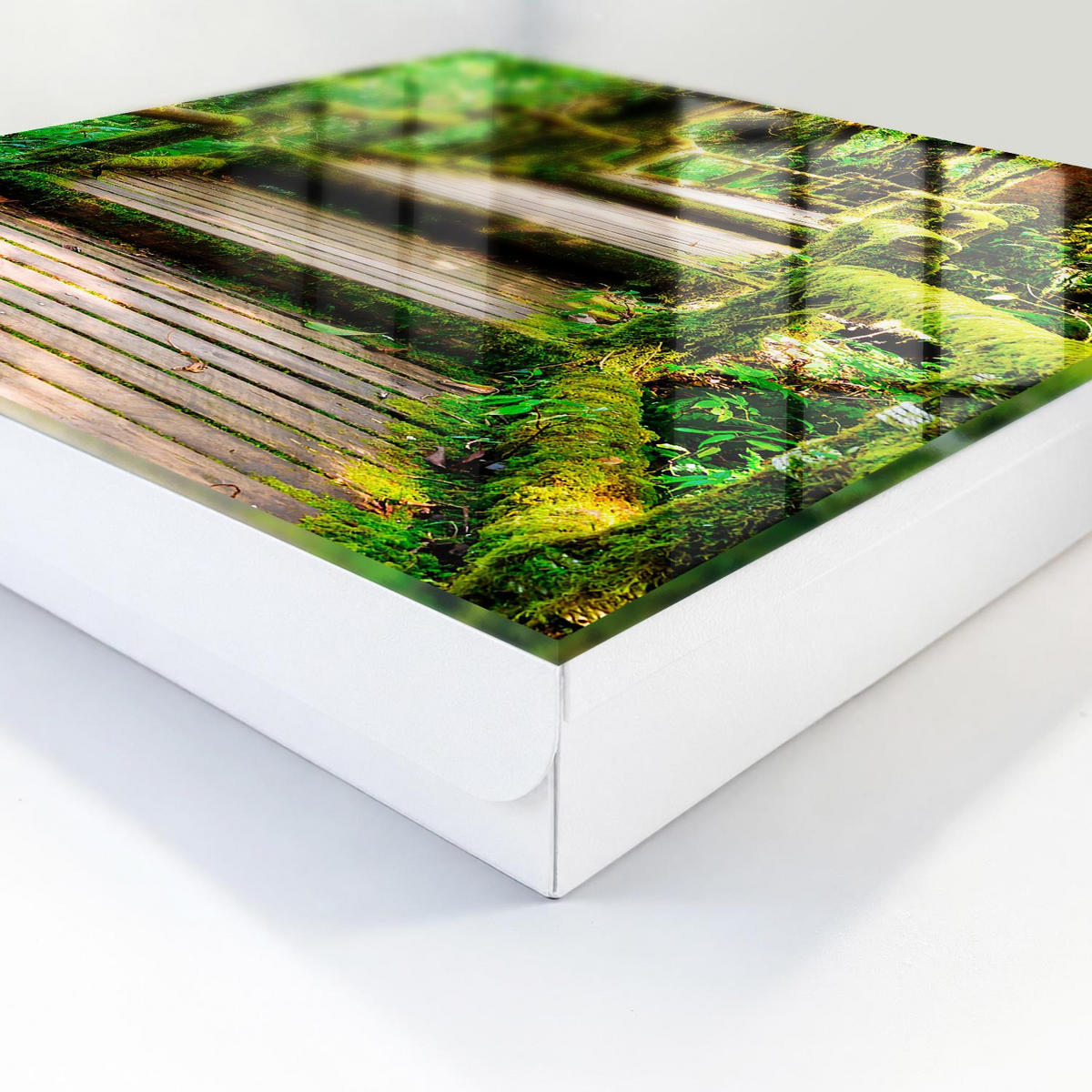 SCHLÜSSELBOX Weiß 30x30 cm – Türöffnung nach rechts - Waldbrücke - Grün, Metall (30/30/5cm) - TULUP