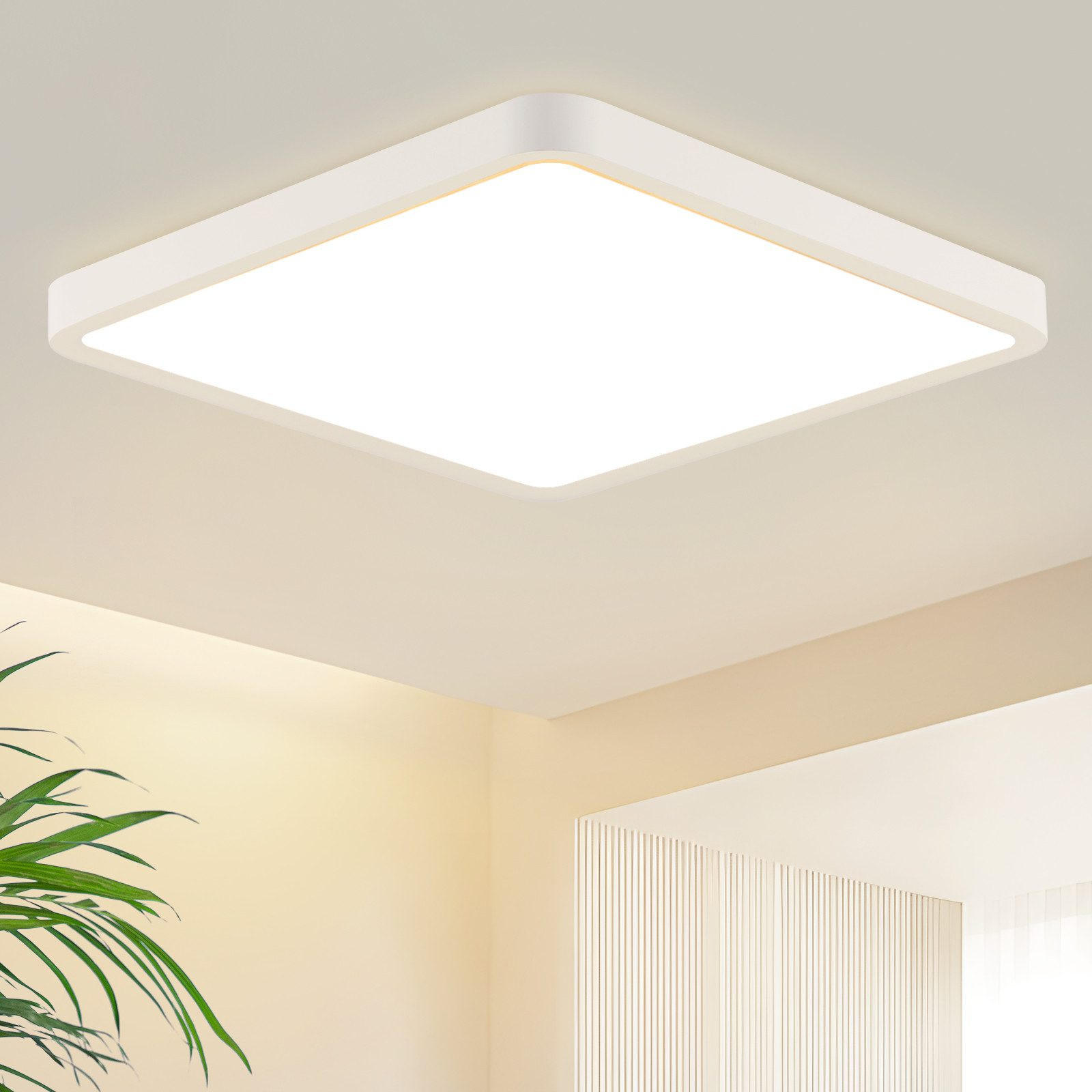 LED-DECKENLEUCHTE Lucio 23/23/2.4cm - Weiß, Kunststoff (23/23/2.4cm) - Nettlife