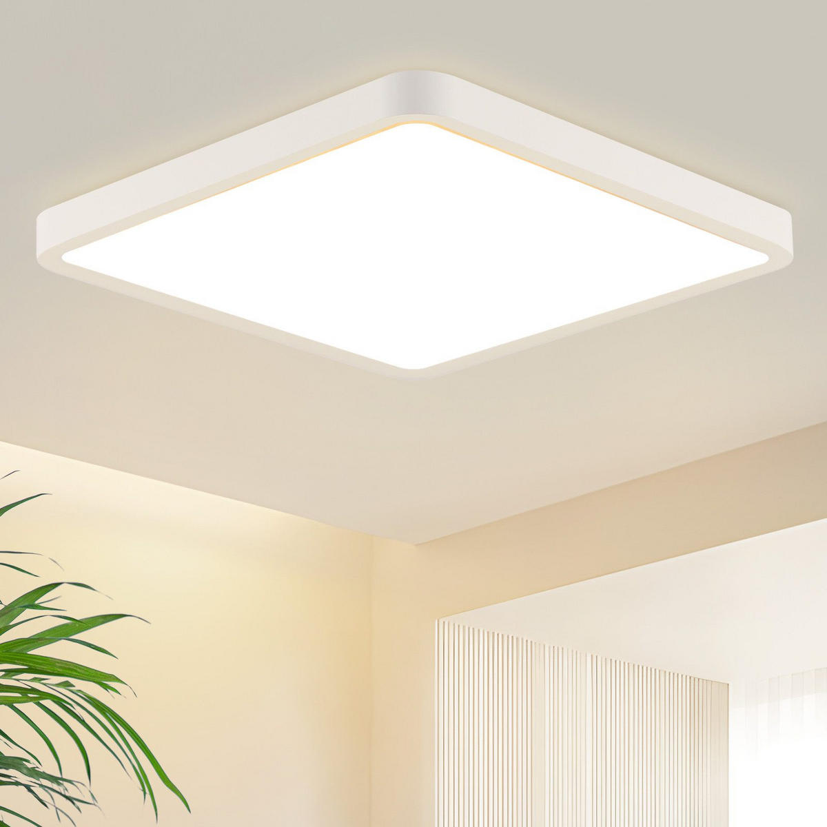 LED-DECKENLEUCHTE Lucio 23/23/2.4cm - Weiß, Kunststoff (23/23/2.4cm) - Nettlife