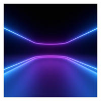 FOTOTAPETE Neonlichter 240/240 cm - Violett, Papier (240/240cm) - Bilderwelten