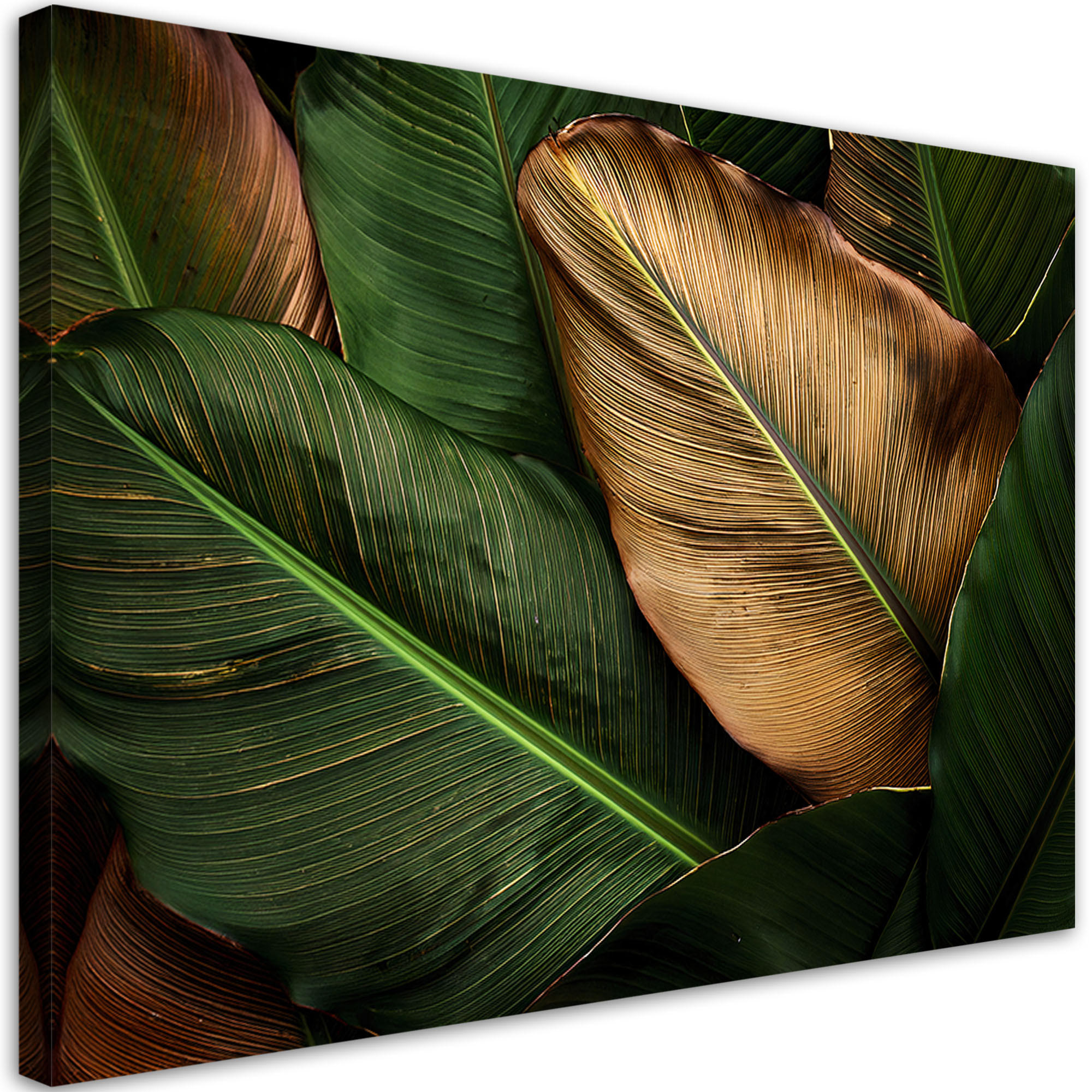 WANDBILD goldene und grüne blätter - Grün, Textil (60/40cm) - Feeby