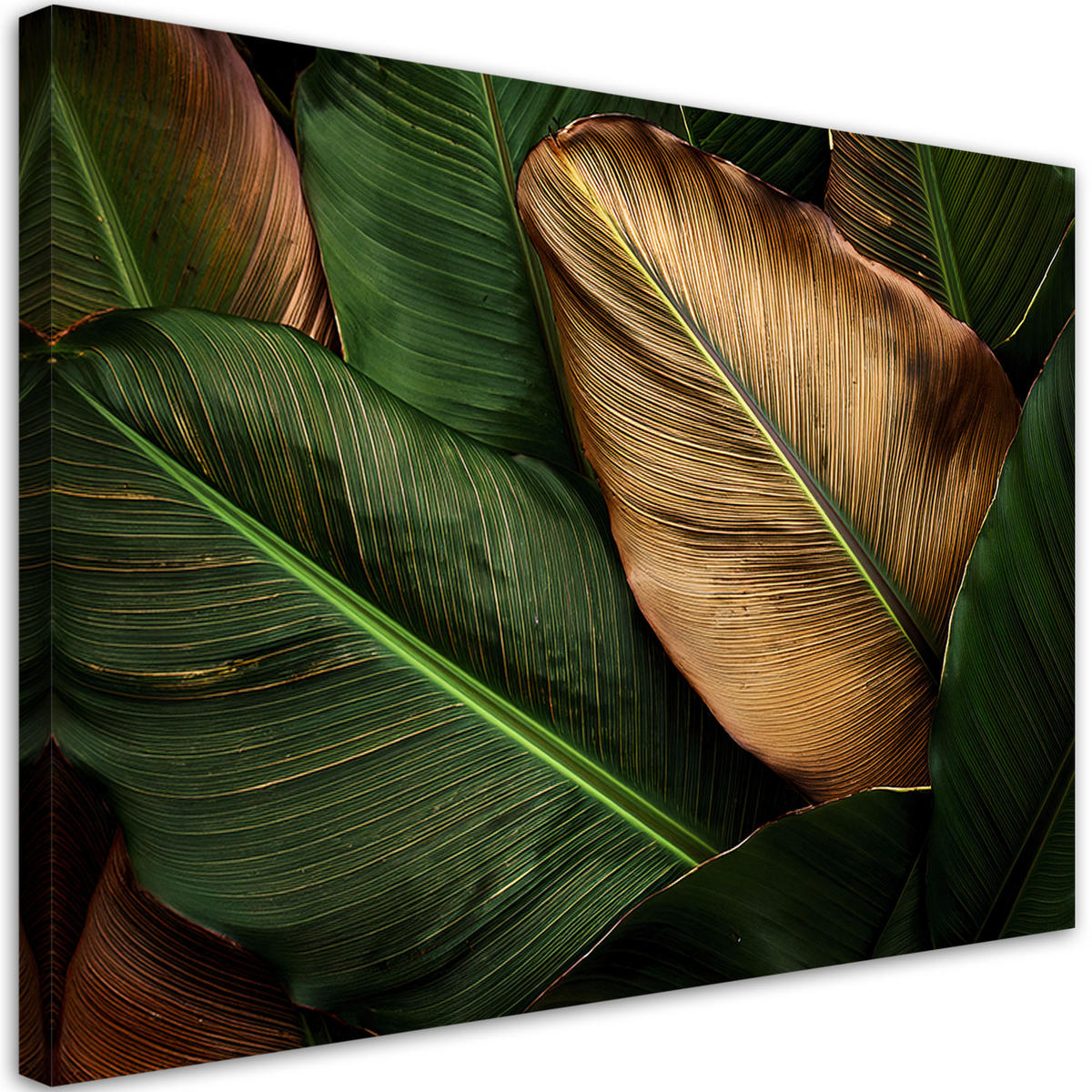 WANDBILD goldene und grüne blätter - Grün, Textil (60/40cm) - Feeby