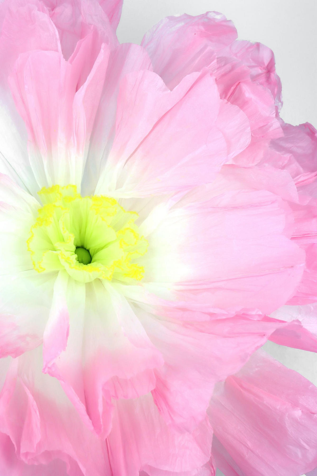 RIESENBLUME Fleur Fantastique rosa - Rosa, Papier (172cm) - FURNARO