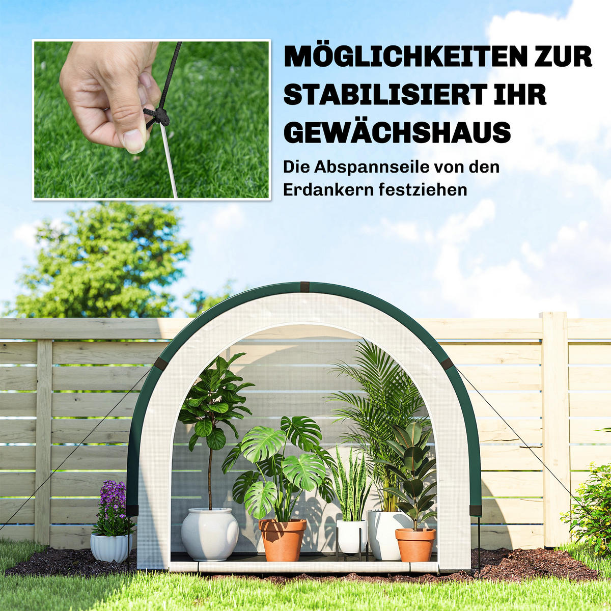 GEWÄCHSHAUS DE-05798 mit gewölbter Oberseite, klappbar 200/80/164 cm Grün - Grün, Kunststoff (80/164/200cm) - ComfortXL
