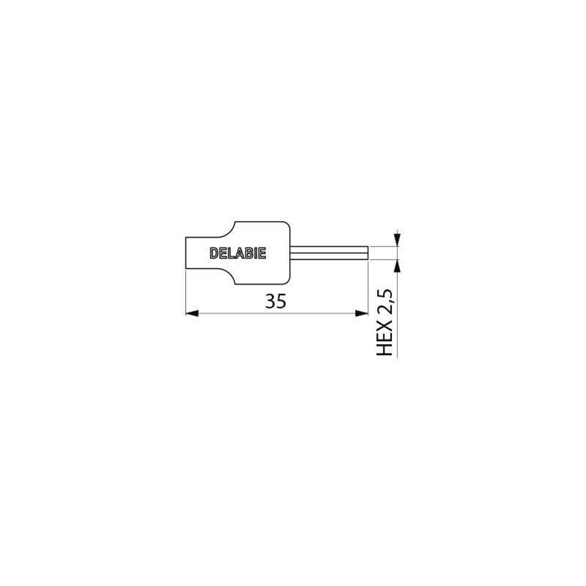 INNENSECHSKANTSCHLÜSSEL 2,5 mm für ECO-Strahlregler - Chromfarben, Metall (6.5/1.5/10cm) - Delabie