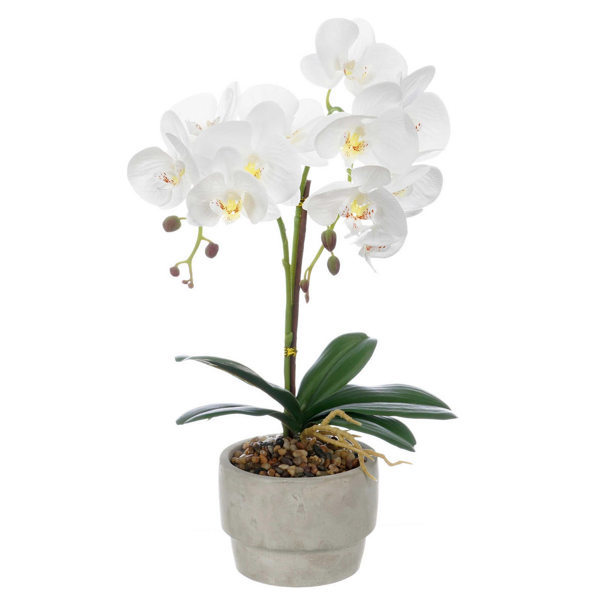 KÜNSTLICHE ORCHIDEE Zementtopf Orchi 49 cm - Multicolor, Kunststoff (49cm) - Ibergarden