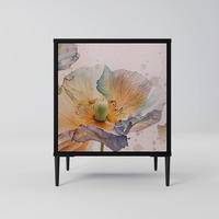 SIDEBOARD SOFTEN POPPY, Schwarz, 57,5x42x72,5 cm, Schwarze Metallfüße - Multicolor/Schwarz, Holzwerkstoff/Metall (57.5/72.5/42cm) - SpaceRebels