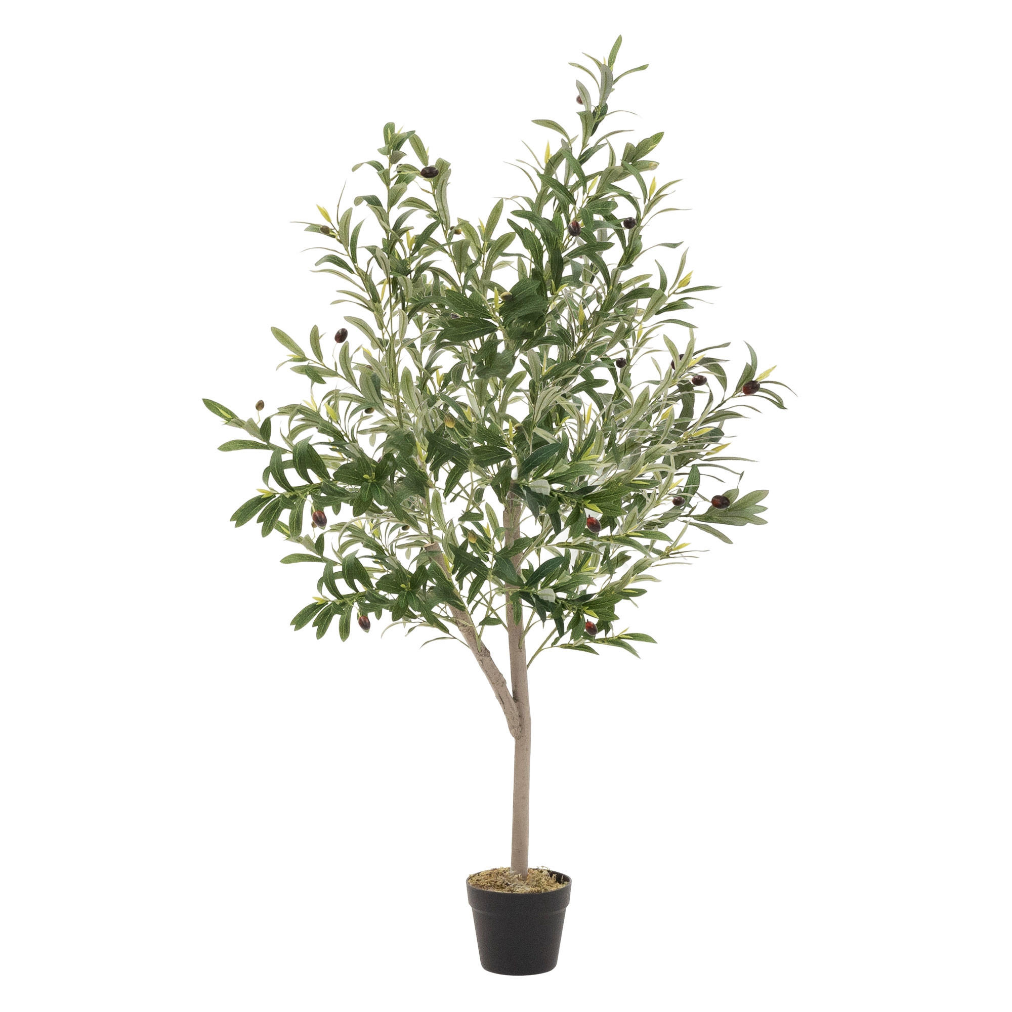 KUNSTPFLANZE Olive - Anthrazit/Grün, Holz/Kunststoff (150cm) - ML-DESIGN