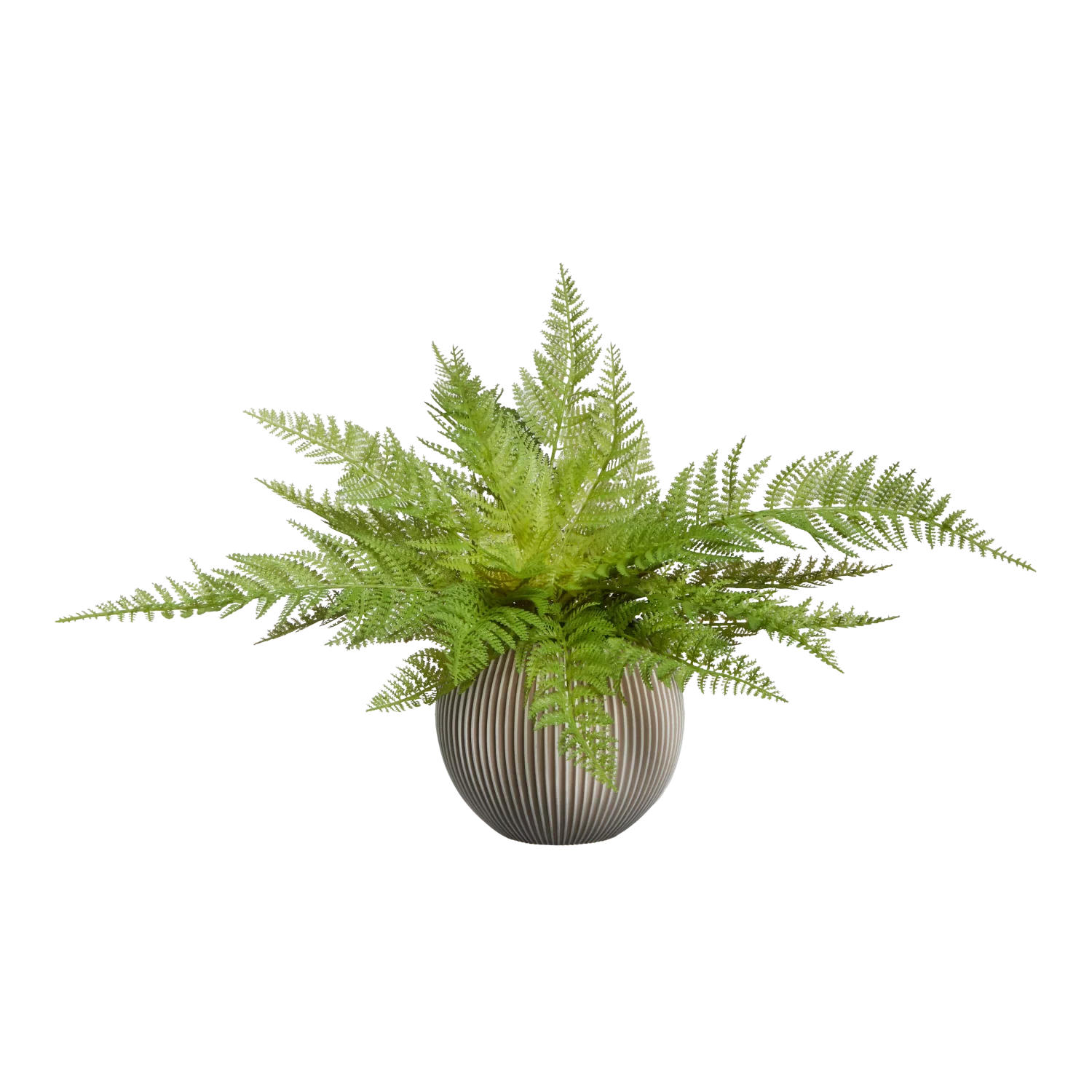 KUNSTPFLANZE Künstlicher Frauenfarn - Jupi 47 cm - Grün, Kunststoff (47cm) - aplanta