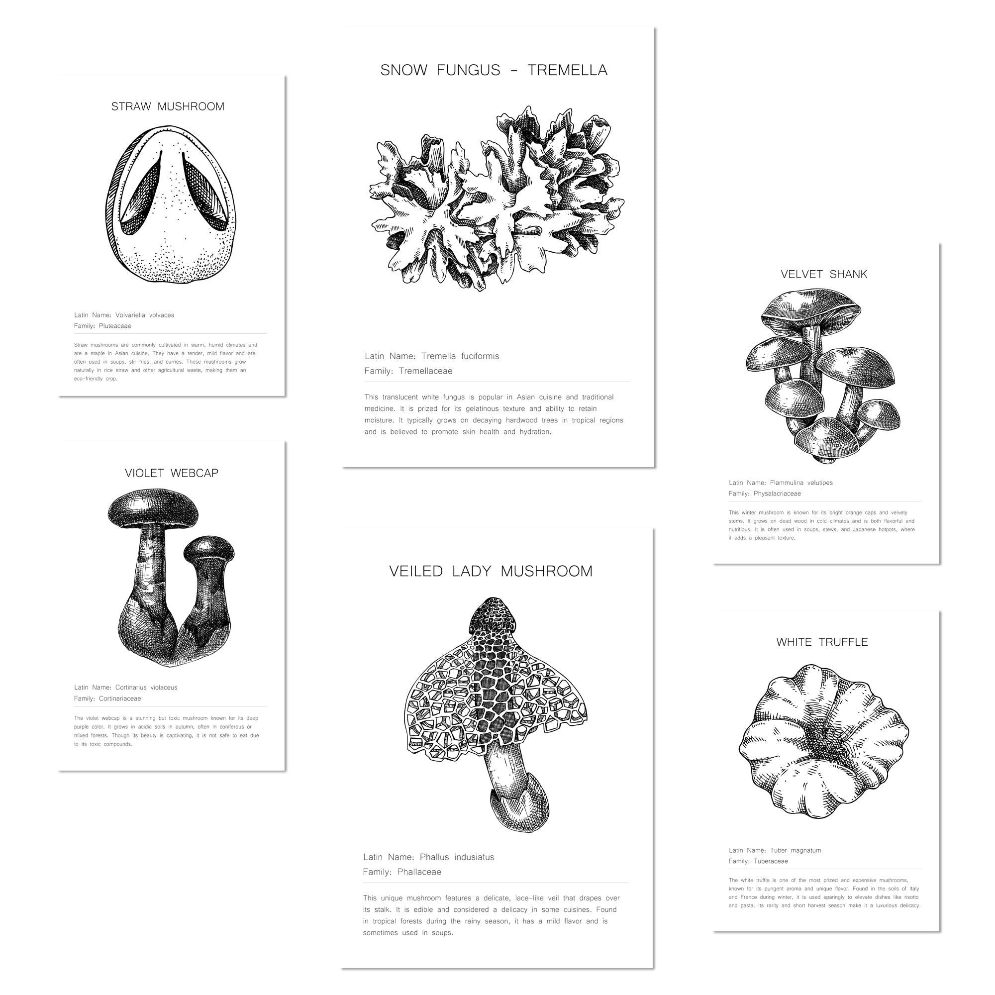 Nacnic Poster Klar 29x3 cm