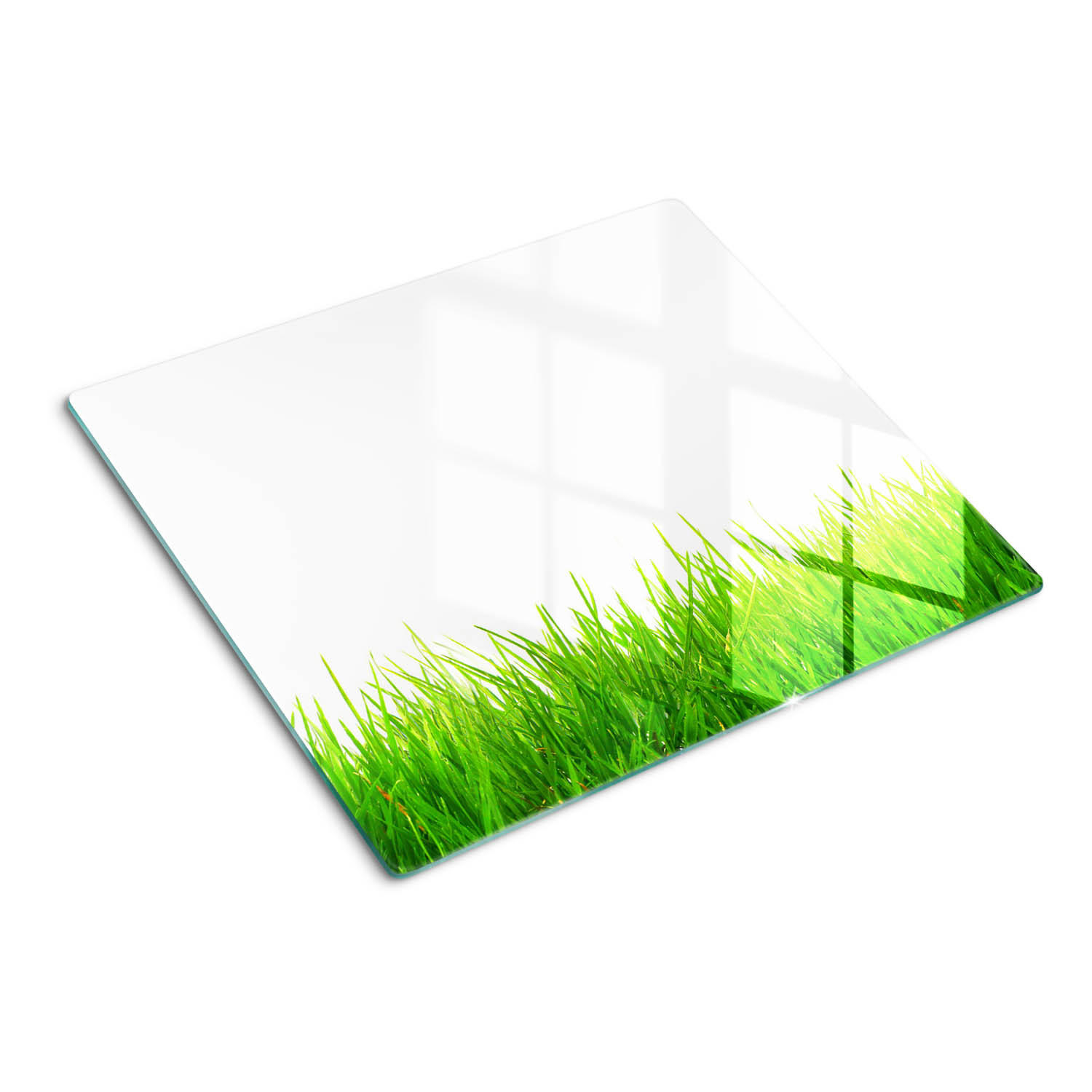 GLASPLATTE 60x52 cm Gras - Grün, Glas (60/0.4/52cm) - TULUP