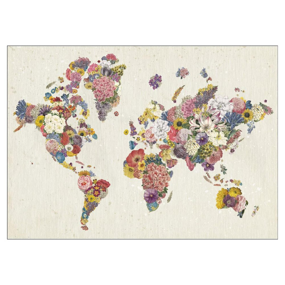 POSTER Wild Apple - Botanical Floral Map Light - Multicolor, Papier (30/40/0.1cm) - Poster&Frame