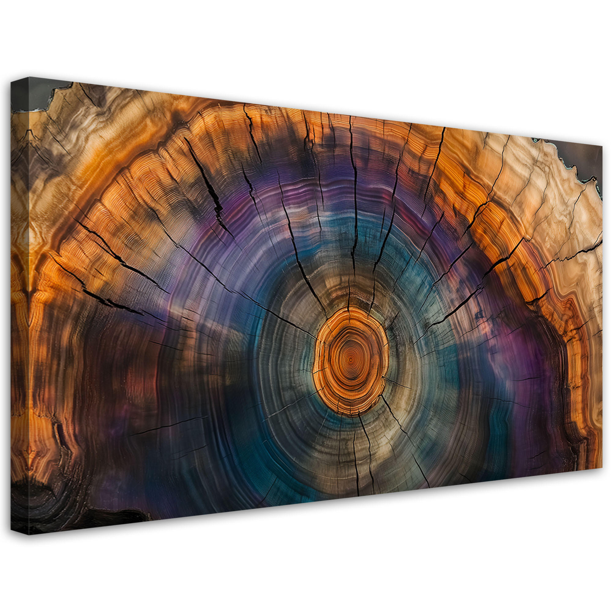 LEINWANDBILD Bunte Baumringe 100x50cm - Orange, Textil (100/50cm) - Feeby
