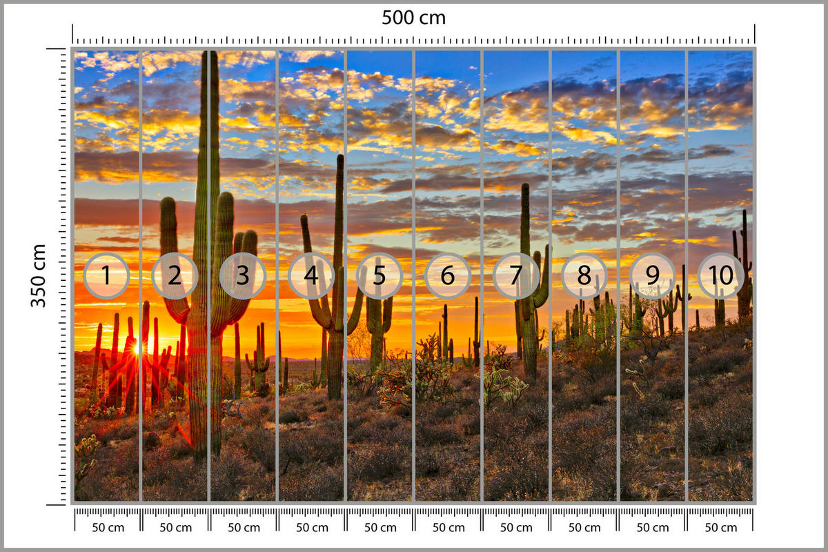 FOTOTAPETE für Wohnzimmer Wüsten Sonnenuntergang Kaktus Pflanzen 500x350 - Gelb/Beige, Papier (500/350cm) - Muralo