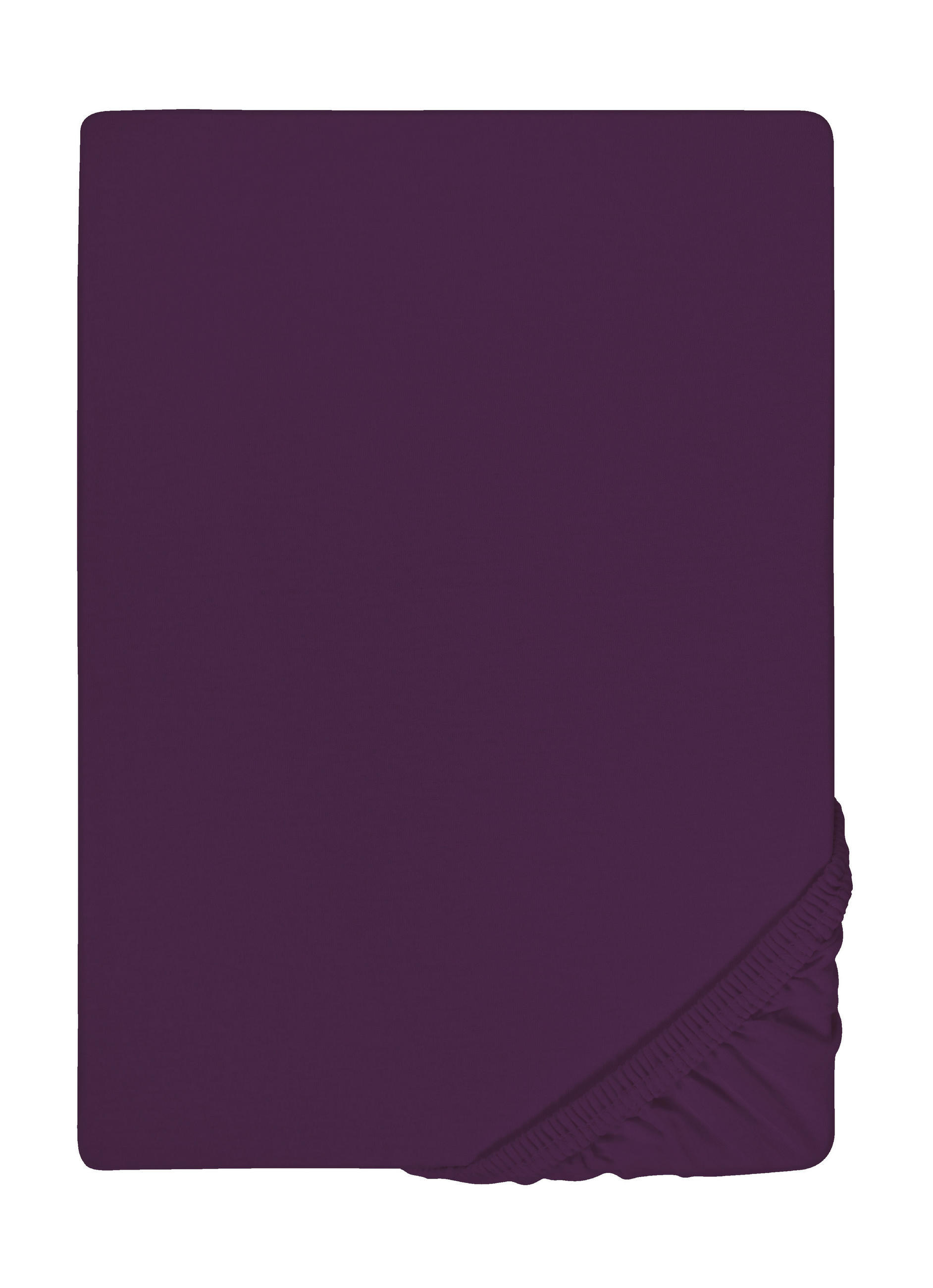 biberna Spannbetttuch Violett 100x200 cm
