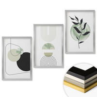WANDBILDER 3er Set - 40x60 cm Silberner Rahmen - Abstrakte Pflanzenformen - Silberfarben, Kunststoff (40/60cm) - ArtPrintCave