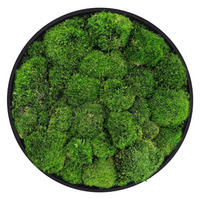 MOOSBILD Rund Ø 40 cm Mooswand Indoor mit Echtem Kugelmoos und Holzrahmen Grün Pflegefrei - Grün, Naturmaterialien (40/40/3cm) - ECD-Germany