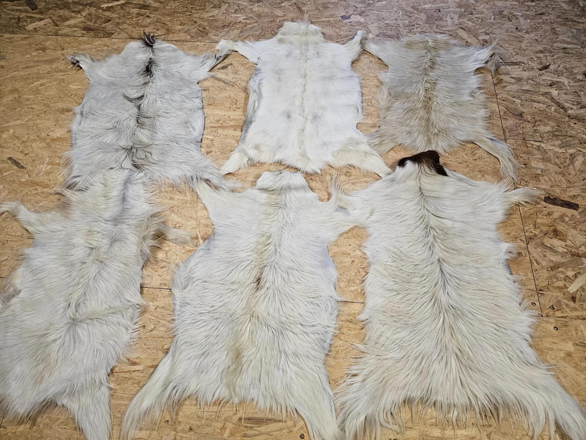 FELL Ziegenfell Eher Hell Naturfarben Teppich ca. 90 cm 1.Wahl - Hellgrau/Weiß, Fell (50/90cm) - Provellus