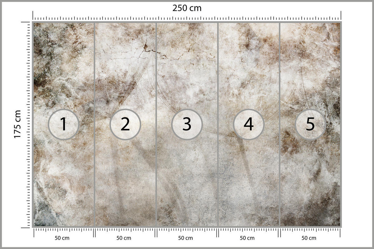 FOTOTAPETE Löwenzahnsamen Beton Retro Stil 250x175 - Beige/Braun, Papier (250/175cm) - Muralo