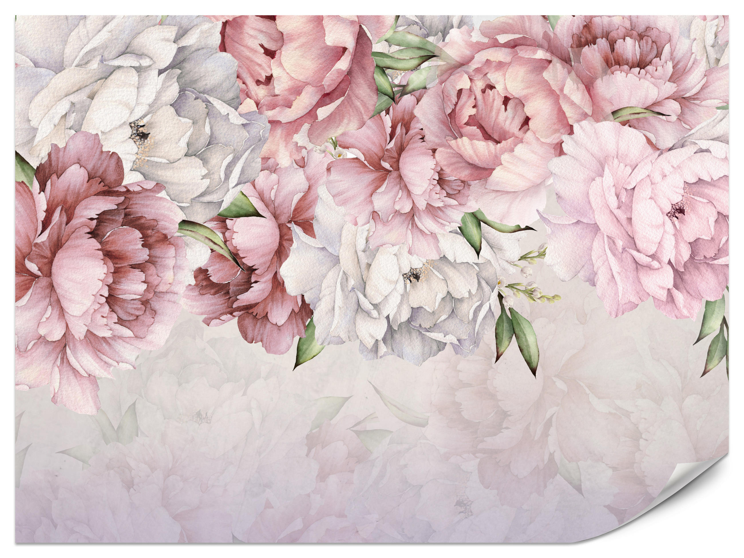 FOTOTAPETE für Schlafzimmer Rosa Zarte Pfingstrosen Natur 100x70 - Violett/Rosa, Papier (100/70cm) - Muralo