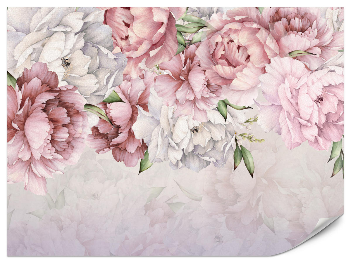 FOTOTAPETE für Schlafzimmer Rosa Zarte Pfingstrosen Natur 100x70 - Violett/Rosa, Papier (100/70cm) - Muralo