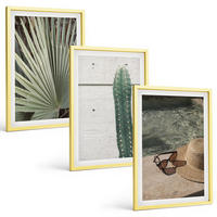 BILDER SET 3er Set - 40x60 cm Goldrahmen - Zubehör für tropische Pflanzen - Goldfarben, Kunststoff (40/60cm) - TULUP