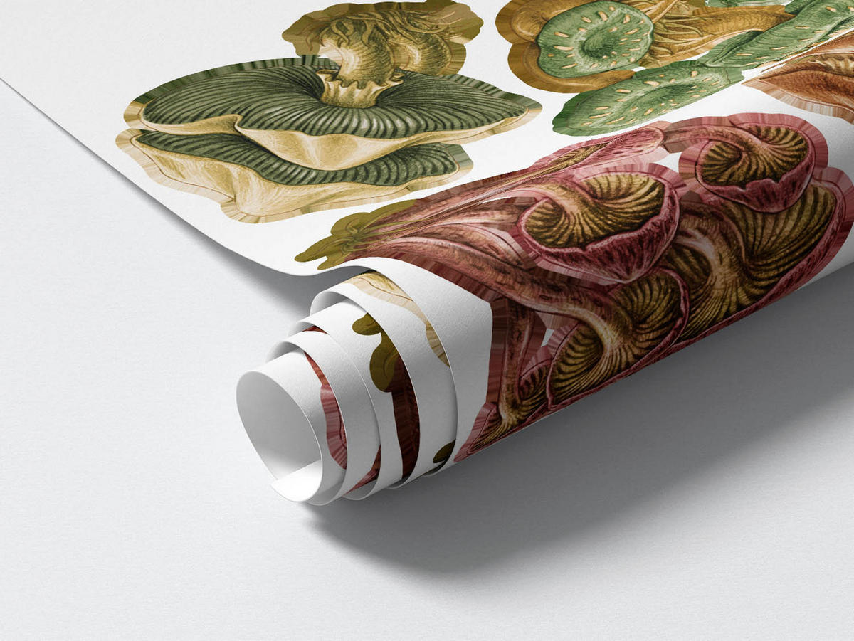 WANDAUFKLEBER 130x62cm - Pilzwiese - Multicolor, Kunststoff (130/62/0.1cm) - Wallfluent