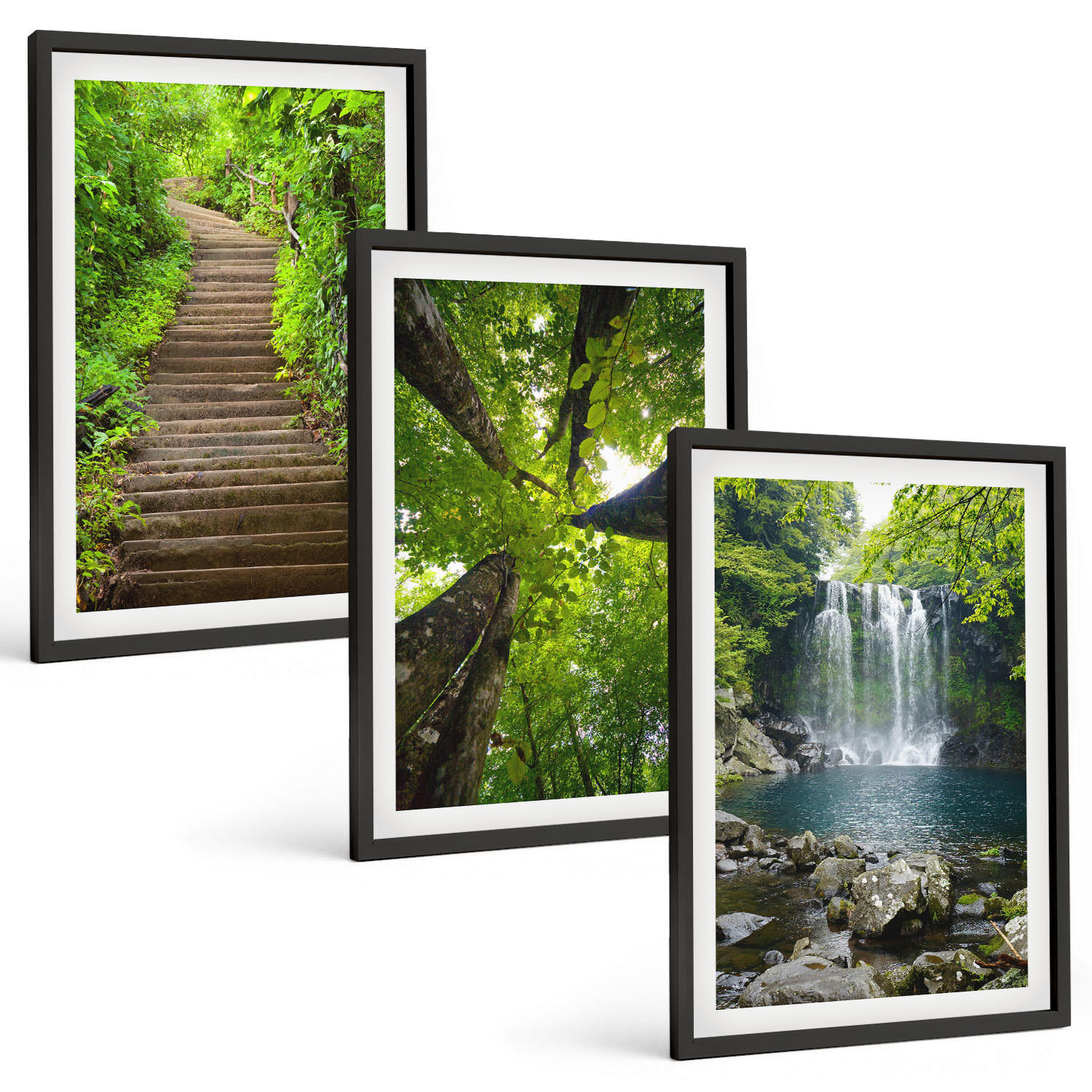 BILDER SET 3er Set - 40x60 cm Schwarzer Rahmen - Pfad Wald Wasserfall Vegetation - Schwarz, Kunststoff (40/60cm) - TULUP