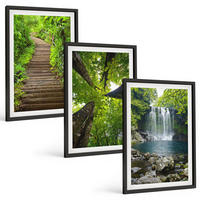 BILDER SET 3er Set - 40x60 cm Schwarzer Rahmen - Pfad Wald Wasserfall Vegetation - Schwarz, Kunststoff (40/60cm) - TULUP