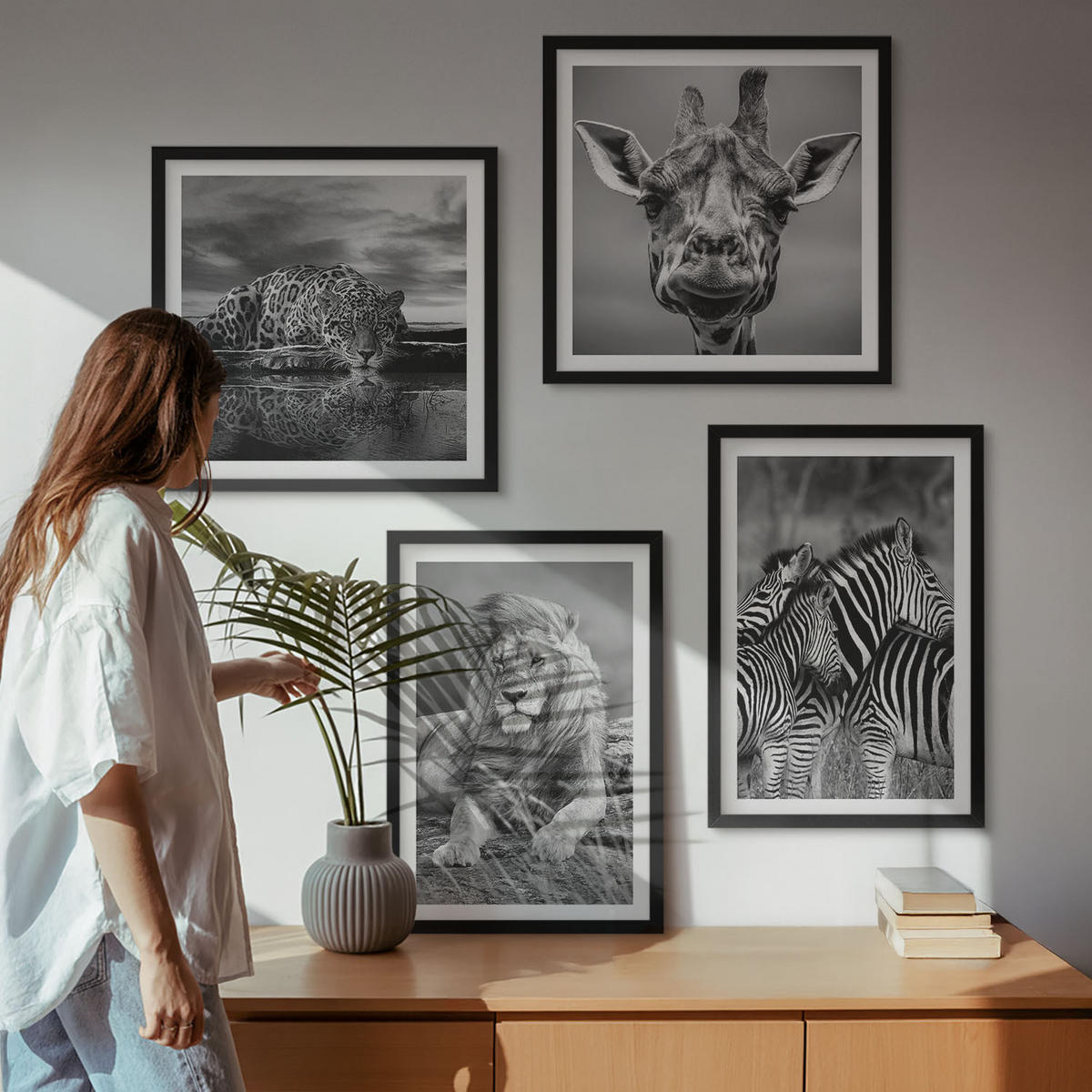 BILDER SET 4er Set - 50x50 cm & 40x60 cm Schwarzer Rahmen - Wildtiere Löwe Jaguar Giraffe Zebras - Schwarz, Kunststoff (50/50cm) - TULUP