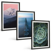 BILDER SET 3er Set - 40x60 cm Schwarzer Rahmen - Berge, rosa Himmel, Wasser, Sukkulente - Schwarz, Kunststoff (40/60cm) - TULUP