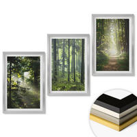 WANDBILDER 3er Set - 40x60 cm Silberner Rahmen - Grüne Wälder mit Lichtstrahlen - Silberfarben, Kunststoff (40/60cm) - ArtPrintCave