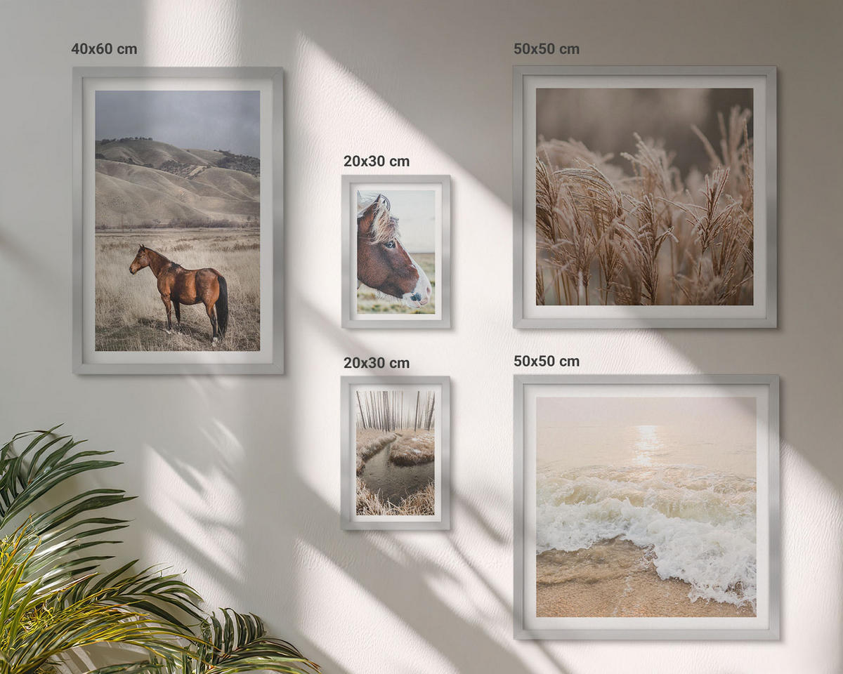 BILDER SET 5er Set - 50x50 cm & 20x30 cm & 40x60 cm Silberner Rahmen - Pferdelandschaft Seegraswald - Silberfarben, Kunststoff (40/60cm) - TULUP