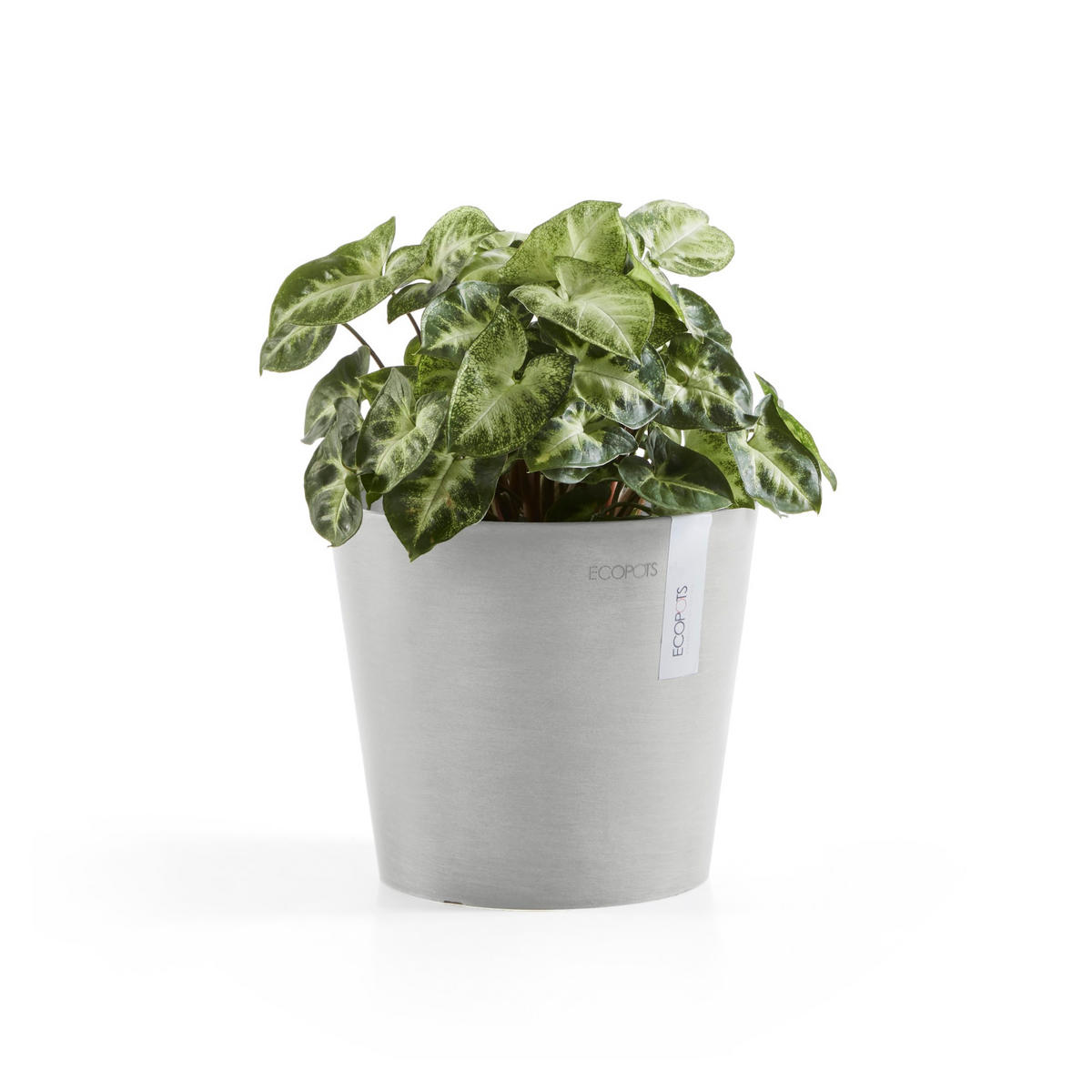 BLUMENTOPF Amsterdam 17/14,7 cm Hellgrau - Hellgrau, Kunststoff (17/14.7cm) - Ecopots