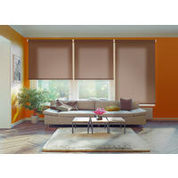 SEITENZUGROLLO lichtdurchlässig Ecofuture (100% Recyceltes Polyester) - Braun, Textil (105/250/250cm) - VIEWTEX