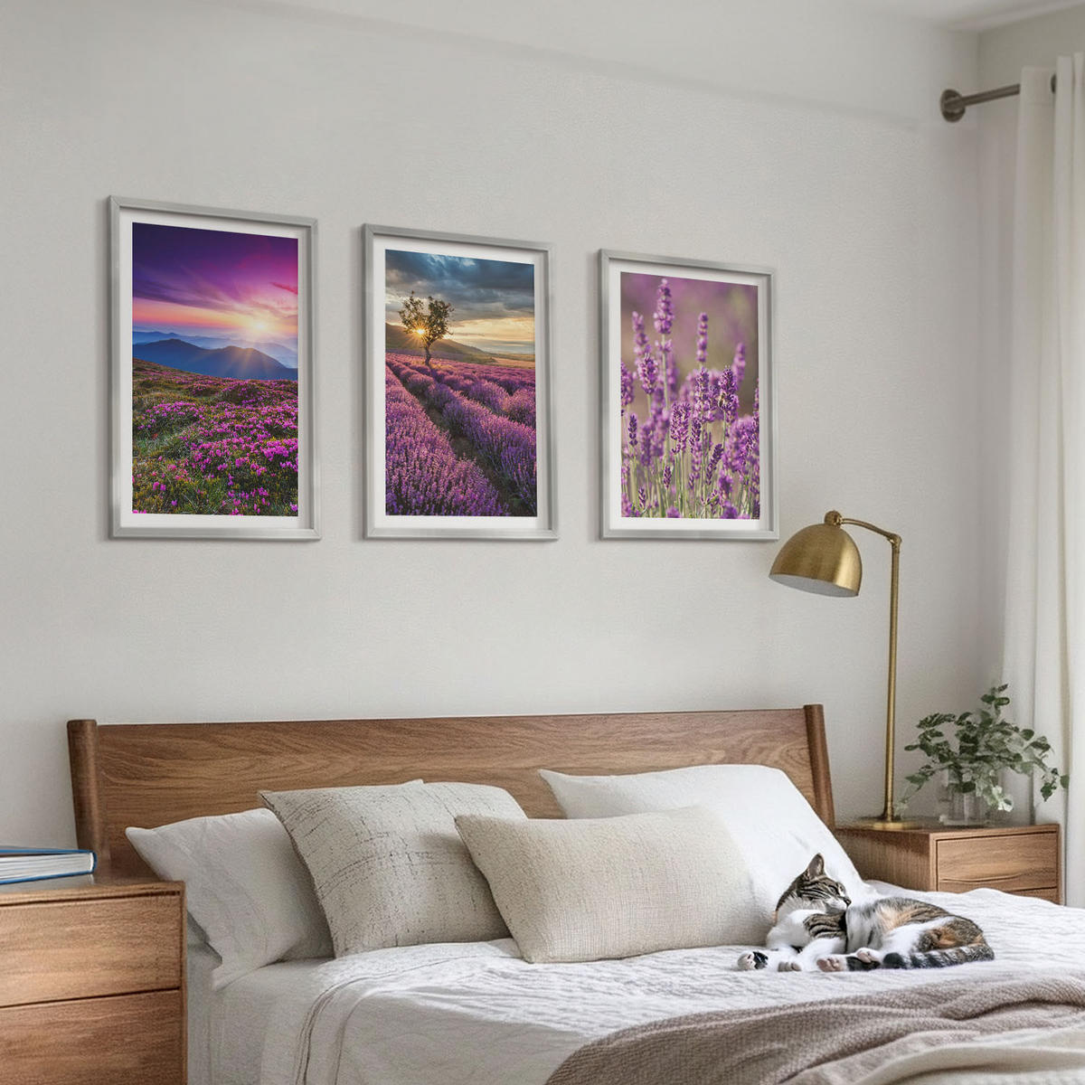 BILDER SET 3er Set - 40x60 cm Silberner Rahmen - Sonnenuntergang auf Lavendelfeldern - Silberfarben, Kunststoff (40/60cm) - TULUP