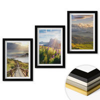 WANDBILDER 3er-Set - 20x30 cm Schwarzer Rahmen - Berglandschaft mit Blumen - Schwarz, Kunststoff (20/30cm) - ArtPrintCave
