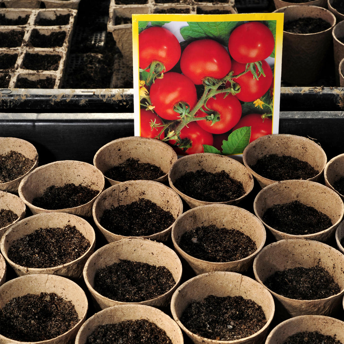 80XANZUCHTTÖPFE - Hellbraun, Papier (8cm) - Relaxdays