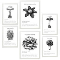 POSTER Set Mit 6 Komposition Aus Schwarzen & Weißen Pilzfamilien A3 & A4 Weißer Rahmen - Weiß, Papier (29/3cm) - Nacnic