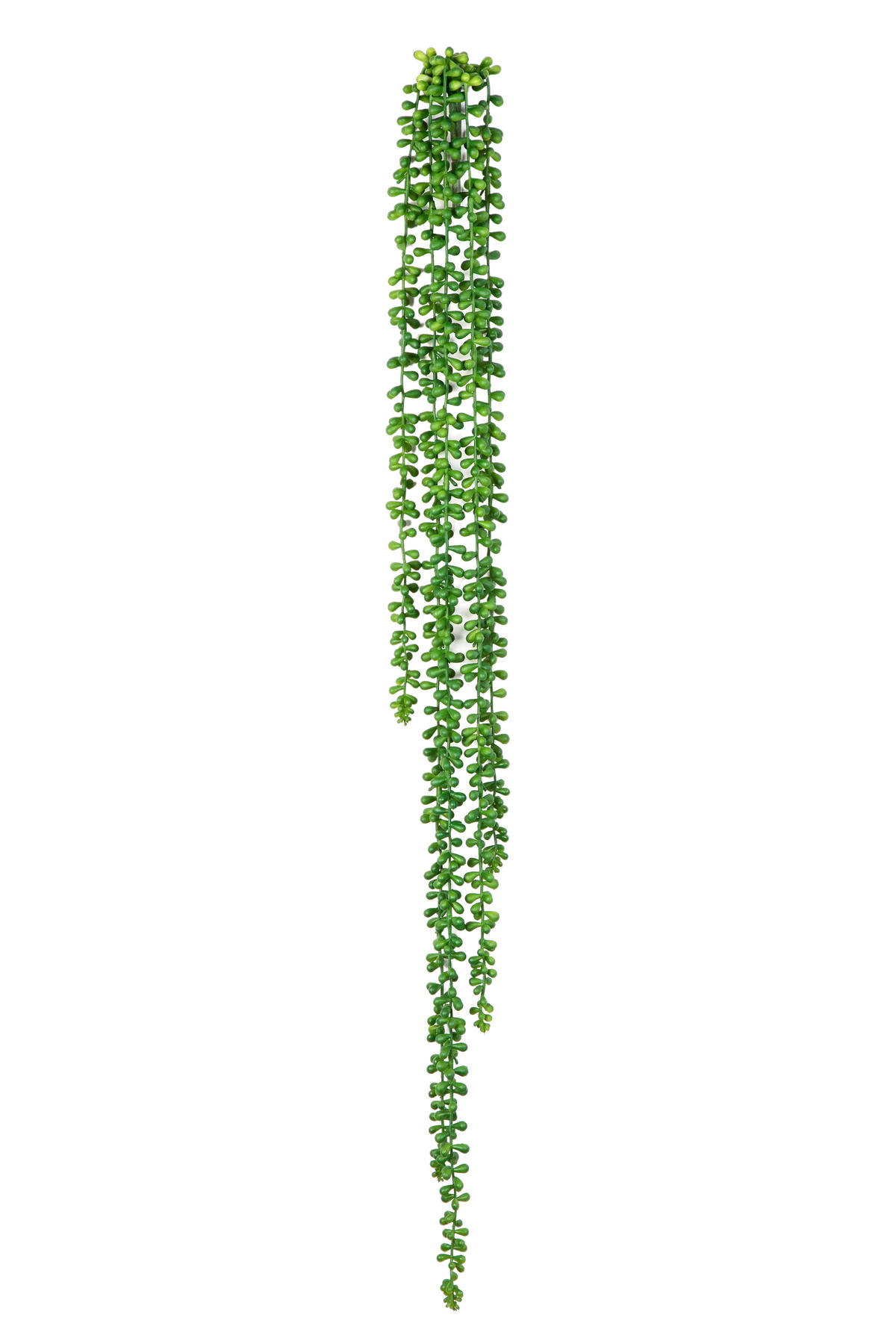 ERBSENPFLANZE Künstliche Erbsenpflanze - Tristan 90 cm - Grün, Kunststoff (90cm) - aplanta