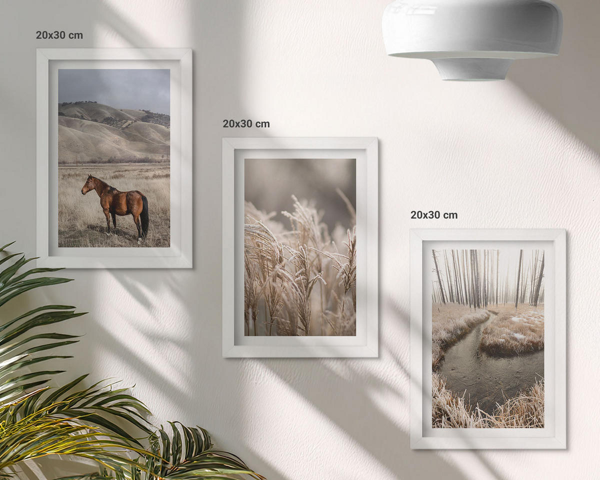 WANDBILDER 3er-Set - 20x30 cm Weißer Rahmen - Pferde, Landschaft, Gras, Bach - Weiß, Kunststoff (20/30cm) - ArtPrintCave