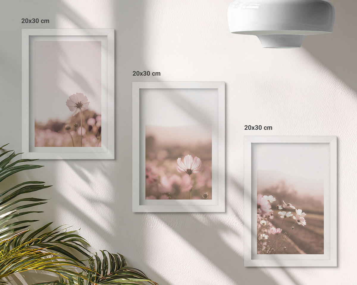 WANDBILDER 3er-Set - 20x30 cm Weißer Rahmen - Sommerlandschaften mit Wildblumenwiesen - Weiß, Kunststoff (20/30cm) - ArtPrintCave