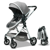 BUGGYS Kombikinderwagen 2 in 1-0 bis 36 Monate-Kompakt faltbar mit Sonnenverdeck - Grau, Metall (80/62/103cm) - Raelunyi