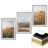 WANDBILDER 3er Set - 40x60 cm Silberner Rahmen - Landschaften Wiesen Berge See - Silberfarben, Kunststoff (40/60cm) - ArtPrintCave